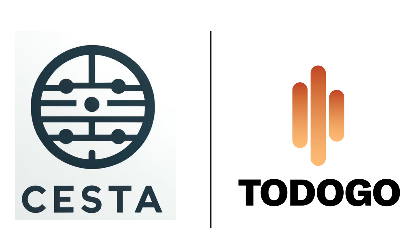 CESTA CAPİTAL BİLİŞİM ANONİM ŞİRKETİ